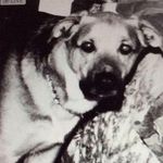Carol Runge - @nanny.ann.1943 - Instagram