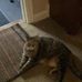 Carol Runge - Facebook