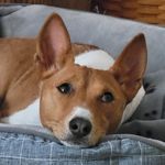 Carol Ann Rupert - @carol_ann220 - Instagram
