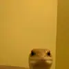 Carol Russo - @ccarolrusso - TikTok