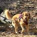 Carol Sabol - Facebook