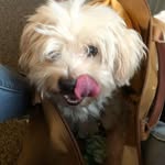 Carol Sam - @carol.samson06 - Instagram