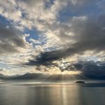 Carol Samson - @csamson51 - Instagram