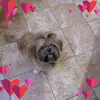 Carol Scarbrough - @31034286385 - TikTok