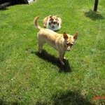 Carol Schaefer - @cs8350 - Instagram