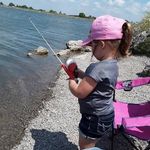 Carol Schaefer - @carol.schaefer.560 - Instagram