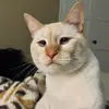 carolschaefer815 - @carolschaefer815 - TikTok