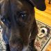 Carol Schatz - Facebook