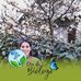Carol Scheuer - Facebook