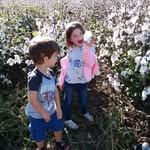 Carol Ann Schiele - @carolannschiele - Instagram