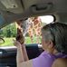 Carol Schiele - Facebook