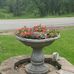 Carol Schnell - Facebook