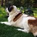Carol M Schutt - Facebook