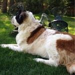 Carol M Schutt - @cschutt216 - Instagram