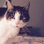 Carol Schutt - @schutt_carol - Instagram