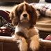 Carol Scranton - Facebook
