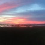 Carol Scranton - @csscranton - Instagram
