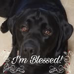 Carol Lynn Scribner - @carollynnscribner - Instagram