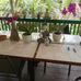Carol Scribner - Facebook