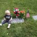 Carolyn Sessions - Facebook