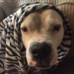 Carol Shaffer - @cjshaff - Instagram