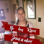 Carol Shaffer - @carol.shaffer.9026 - Instagram