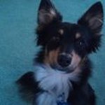 Carol Sheehan - @csheehan42 - Instagram
