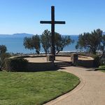 Carol Sheehan - @carolsheehan52 - Instagram