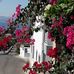 Carol Sheehan - Facebook