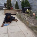 Carol Sheehan - @carolsheehan11 - Instagram