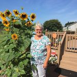 Carol Shook Stettler - @carolshookstettler - Instagram