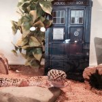 Caroline Shook - @theamazingcari - Instagram