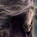 Carol Shoop - Facebook