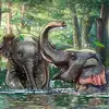 Carolyn Shoop - @carolyn.shoop - TikTok