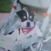 Carol Sims - @carol.sims5 - TikTok