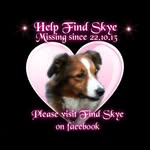 Carol Sinclair - @k9kapers - Instagram
