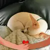 carolsinclair34 - @carolsinclair34 - TikTok
