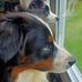 Carol Hall Slaughter - Facebook