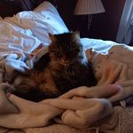 Carol Slaughter-Swanson - @slaughterswanson - Instagram