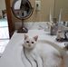 Carol Slavin - Facebook