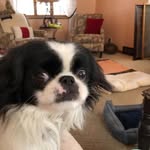 Carol Spaulding - @spaulding4413 - Instagram