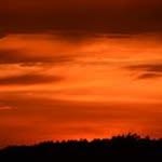Carol Spaulding - @spaulding.carol - Instagram
