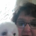 carolstaton1361 - @carolstaton13611364 - Instagram