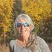 Carol Stein - Facebook
