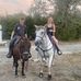 Carolyn Stephan - Facebook