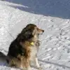 Carol Stickney - @carol.stickney5 - TikTok