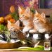 Carolyn Stickney - Facebook