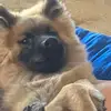 carolzstock - @carolzstock - TikTok