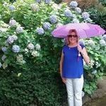 Carol Stoops - @carolstoops57 - Instagram