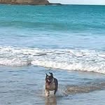 Carol Storer - @carol_storer - Instagram
